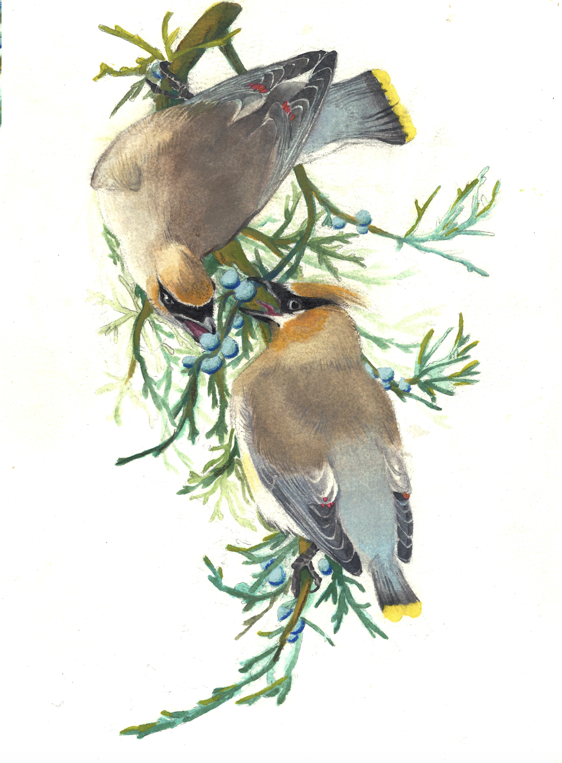 Detail